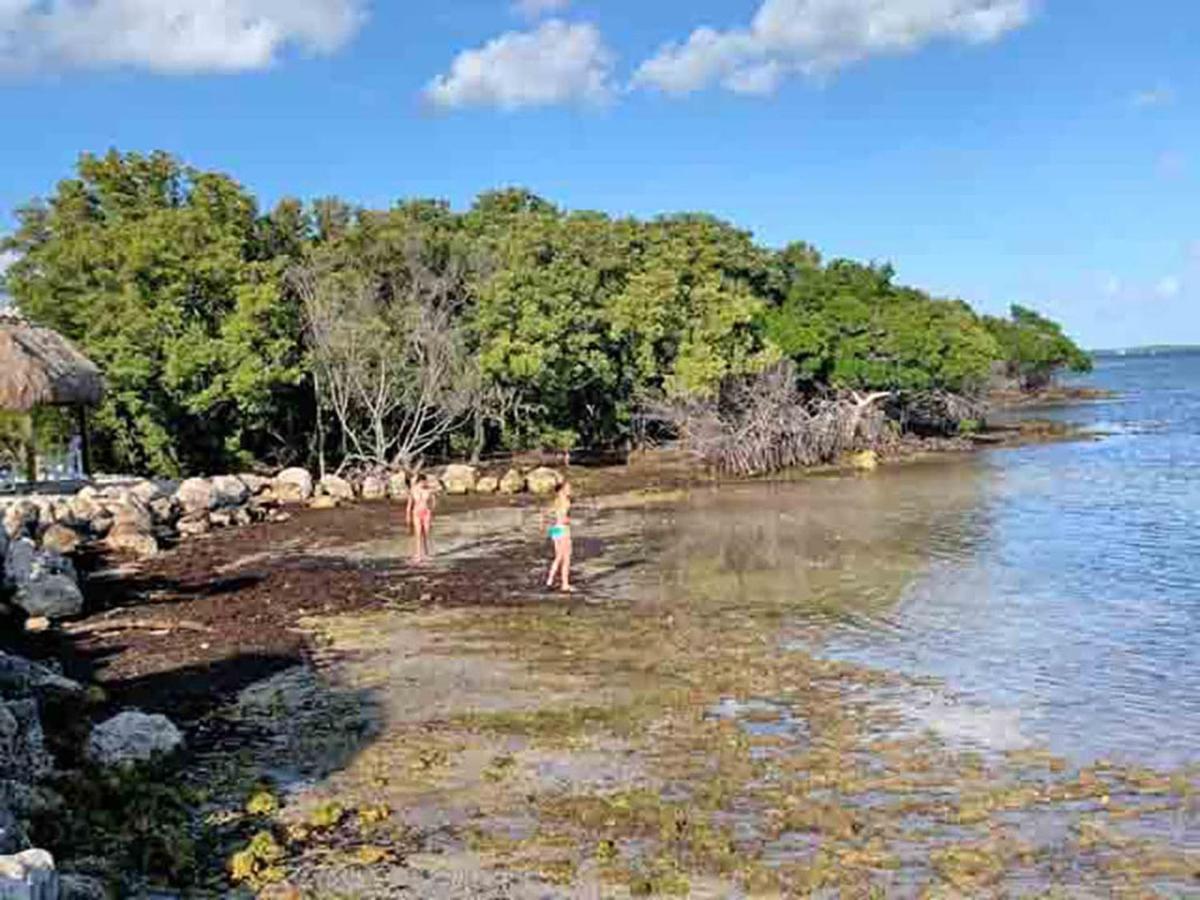 Sea Mist - Oceanfront-Lake-Kayak-Paddleboard-Bike Key Largo Luaran gambar